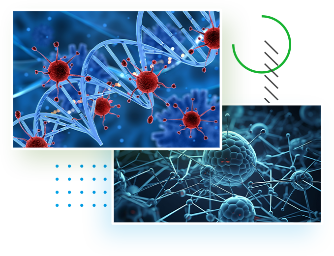 Vsthiraa Bioscience - enzymes